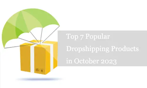 Popular Dropshipping Products